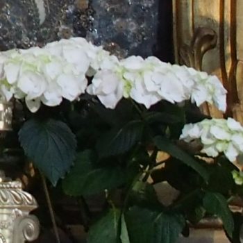 © Stift Herzogenburg